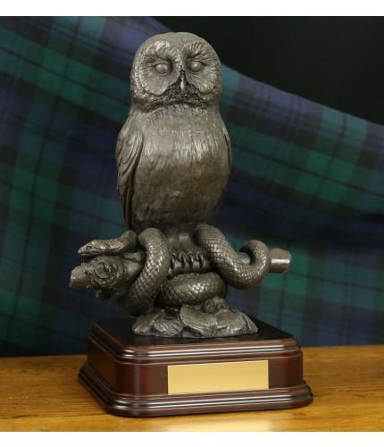 Royal College of Defence Medicine Owl & Snake. This is their farewell presentation piece.