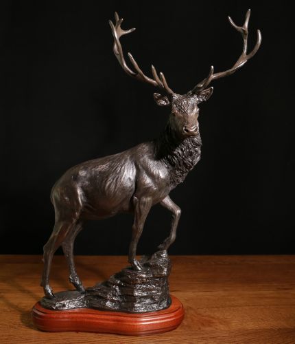 This is our antique bronze sculpture of a 17" tall, 11" wide and 6" deep Highland Stag. We manufacture it ourselves here in Walkerburn and offer a choice of base and engraving options.