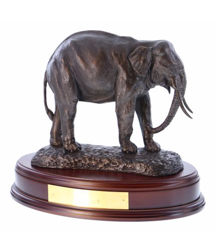 An Indian Elephant presentation and display sculpture on its own oval wooden base. We include an engraved brass plate if required. You can also select hand painted, or silver. 