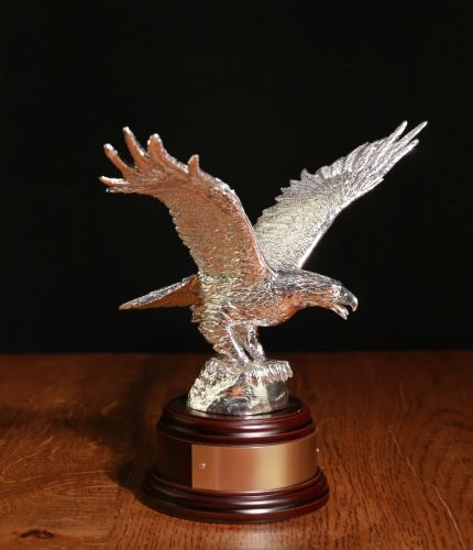 This is a polished, pure pewter, Royal Air Force Eagle sculpture. There are various wooden base options and we include a Nickel Silver Engraved plate if required.